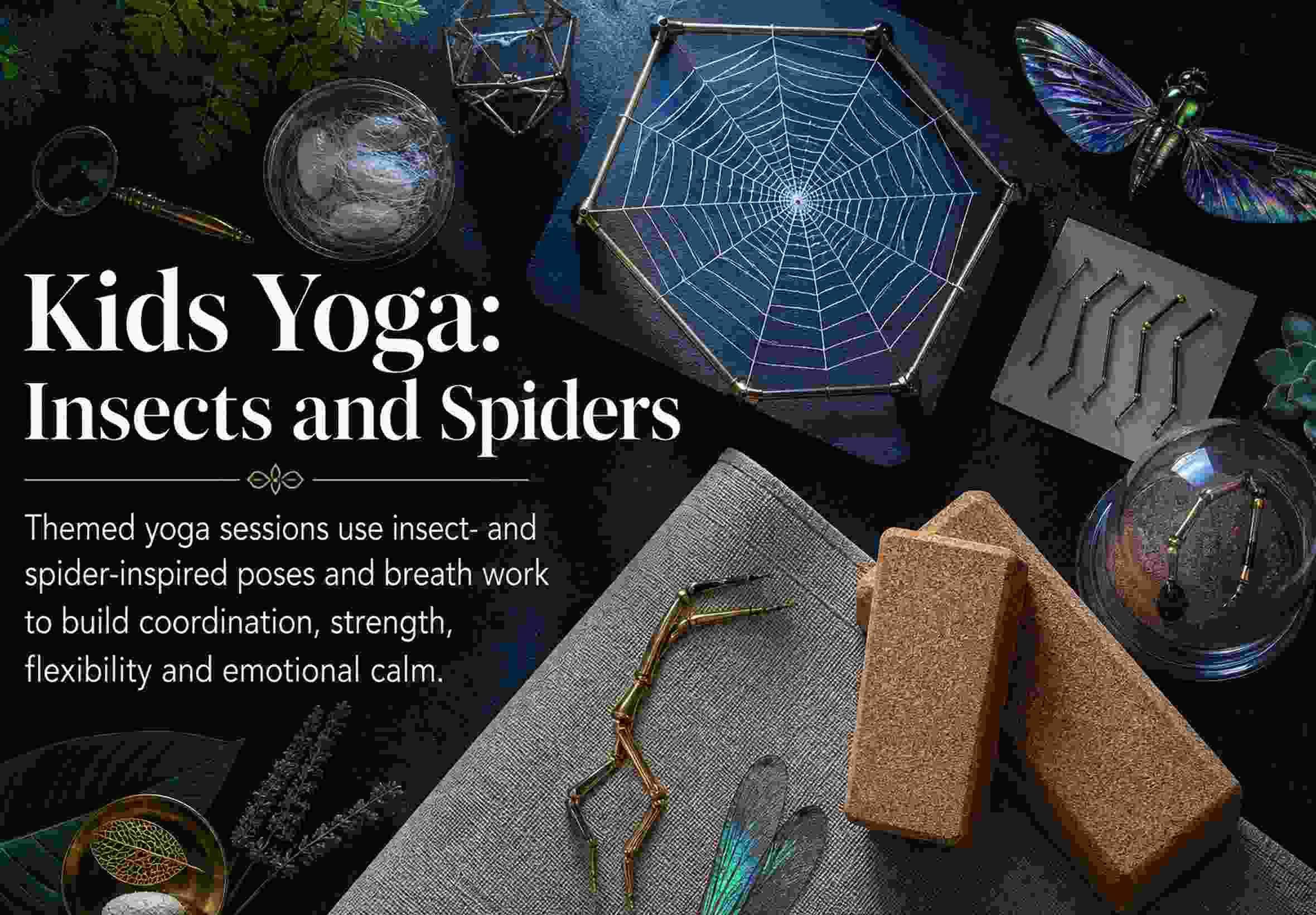 Kids Yoga: Insects and Spiders